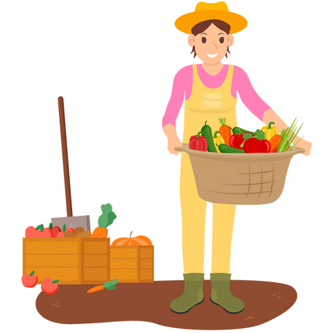 POR DENTRO DA PADARIA: NOSSAS FRUTAS E VEGETAIS