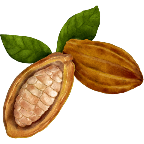 POR DENTRO DA PADARIA: NOSSO CACAU