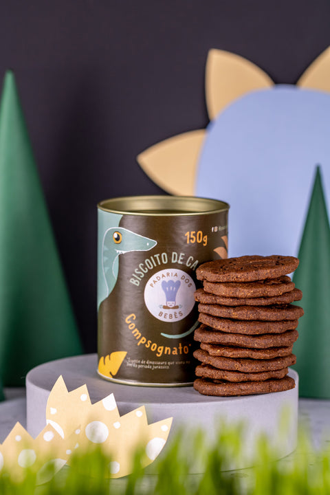 Biscoito de chocolate (2)