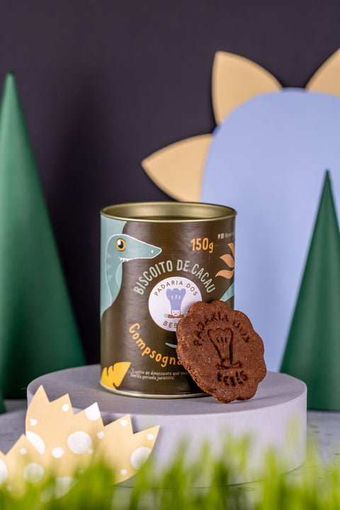 Biscoito de chocolate (4)