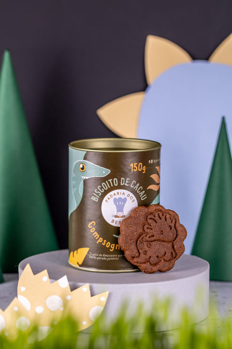 Biscoito de chocolate (5)