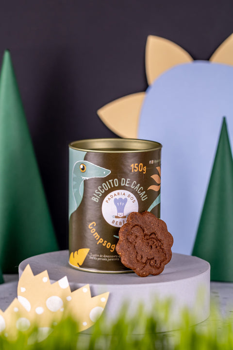 Biscoito de chocolate (6)